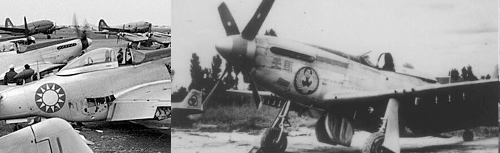 P-51D "野馬"戰鬥機