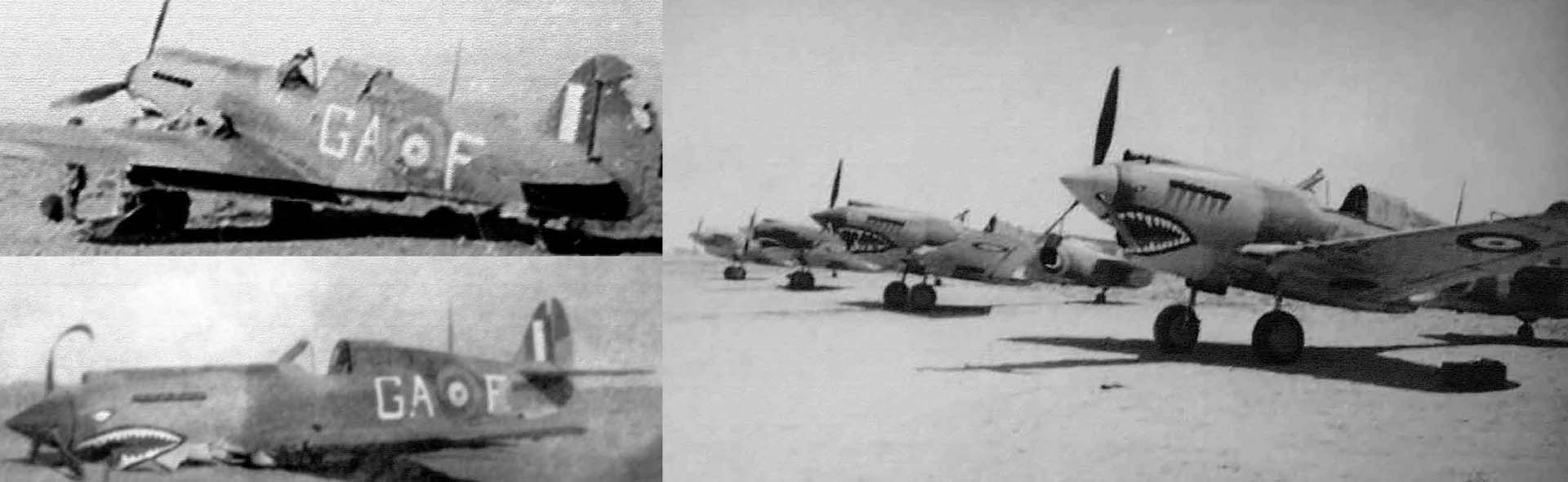 英國皇家空軍寇帝斯 P-40B / 戰斧Mk IIB